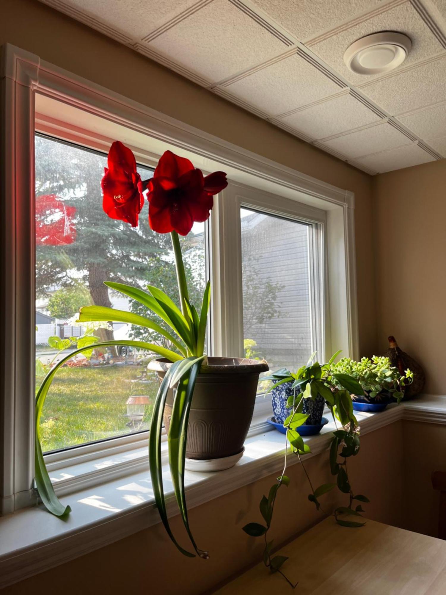 Citadel Hills Valley YYC Esterno foto